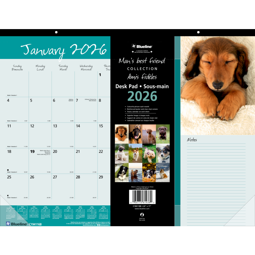 Alternate image #1 of C194116B