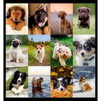 Alternate image #2 of C194116B