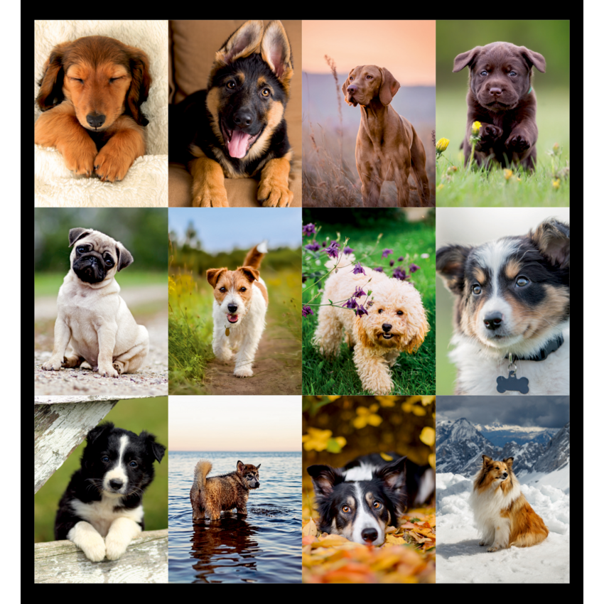 Alternate image #2 of C194116B