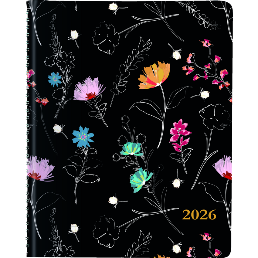 Alternate image #1 of C958BG.01