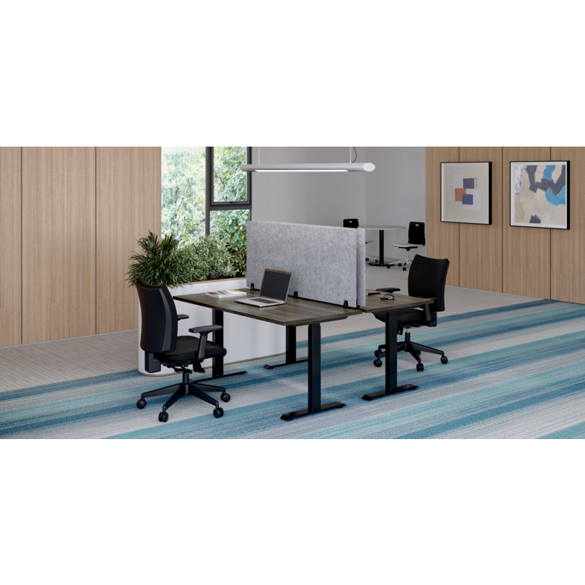 Alternate image #1 of OUT-TM1-2572PET-CH-BL