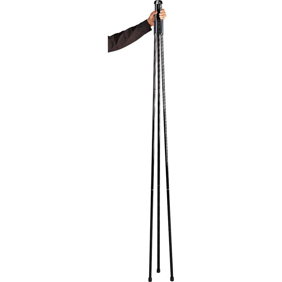 Alternate Image1