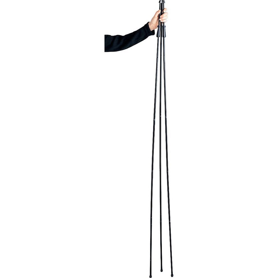 Alternate Image2
