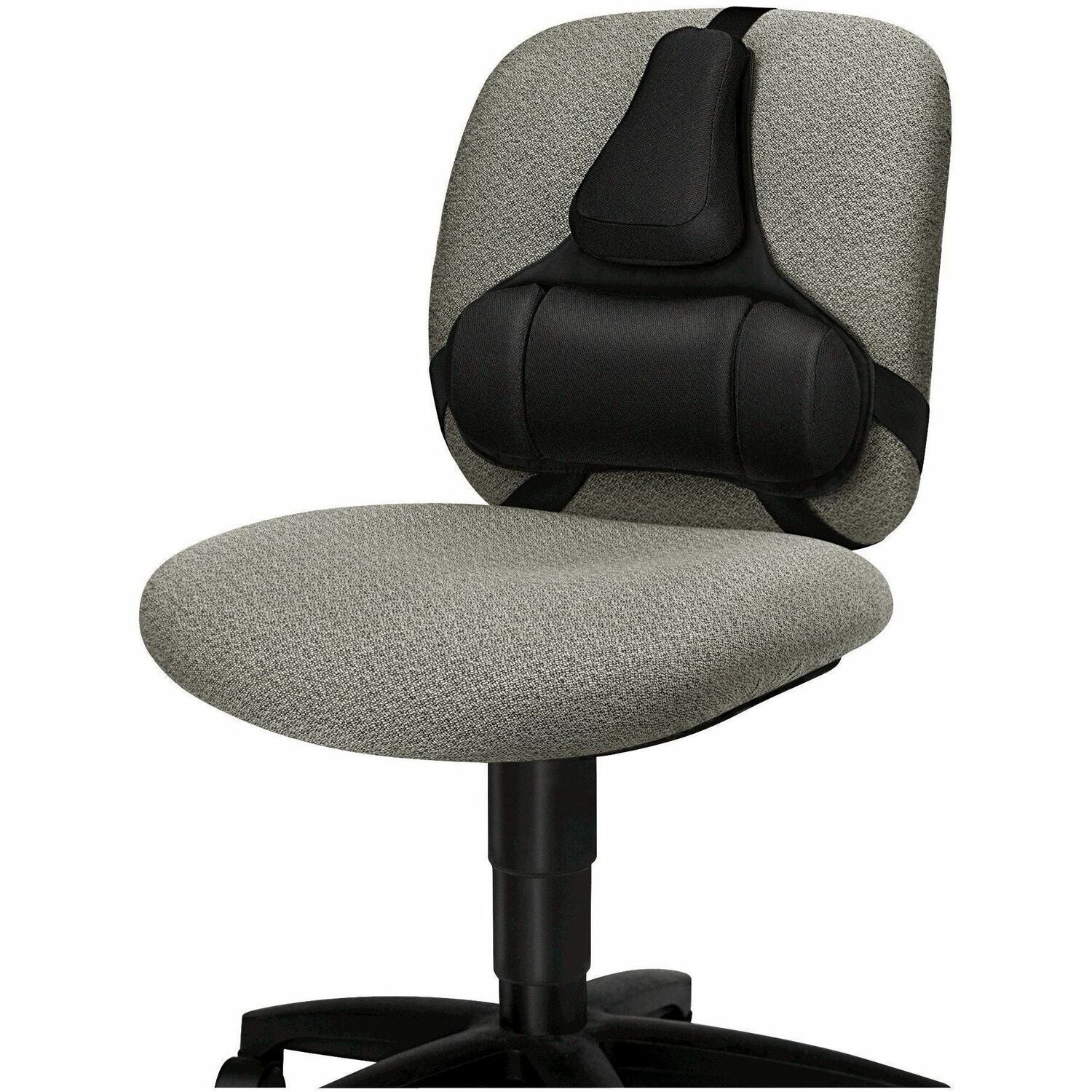 Image of FEL8037601