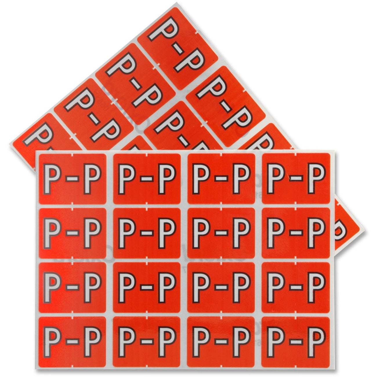 Image of PFX06617