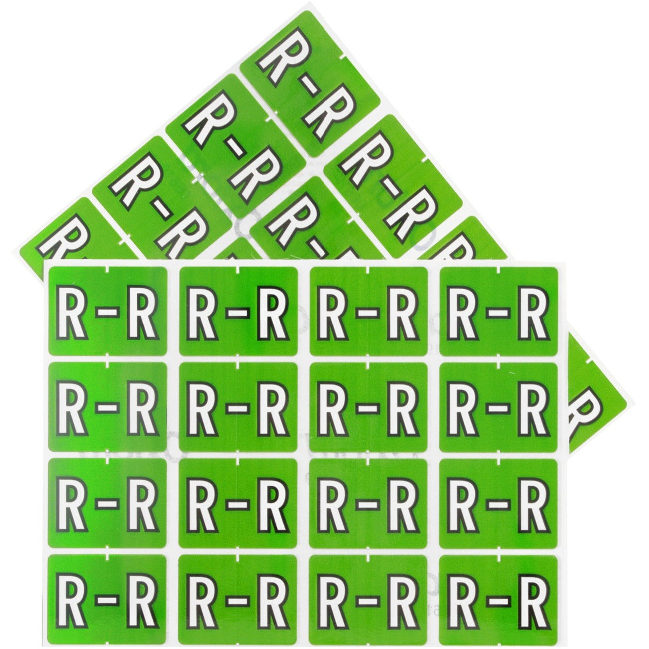 Image of PFX06619