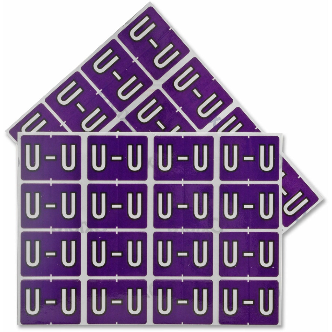 Image of PFX06622