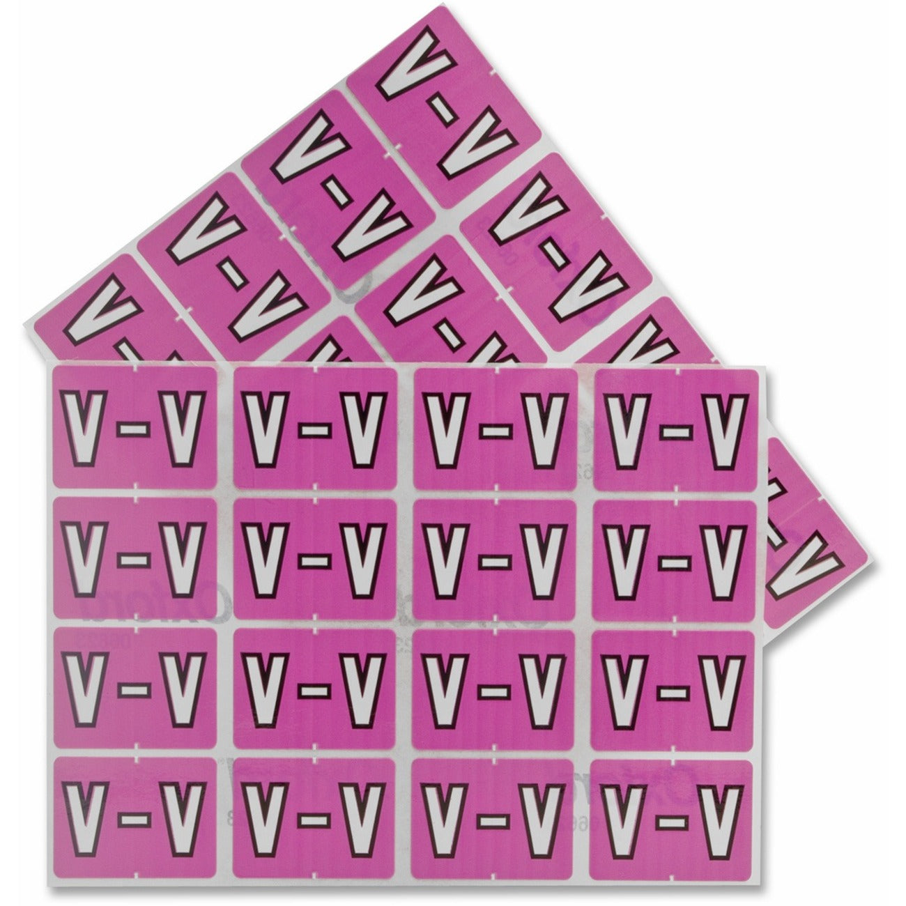 Image of PFX06623