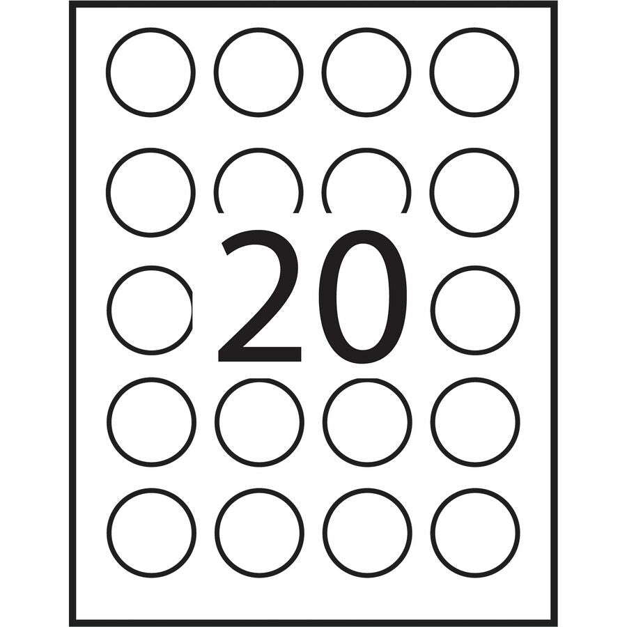 Alternate Image5