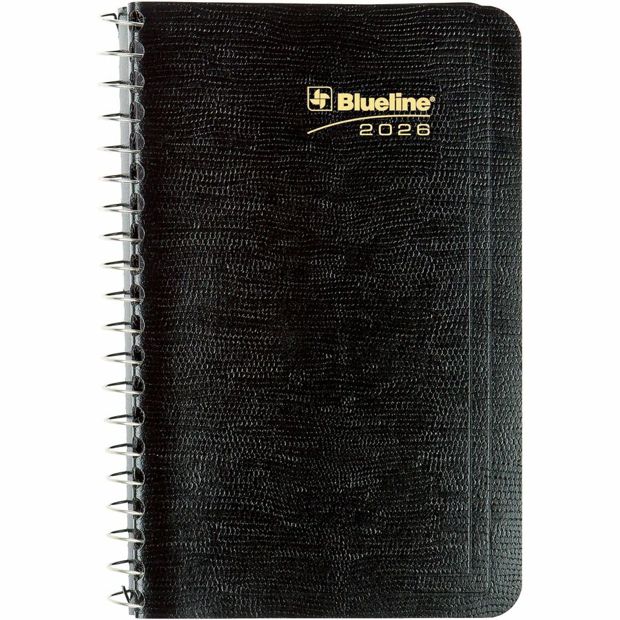 Alternate Image1