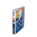 Image of RGO870107