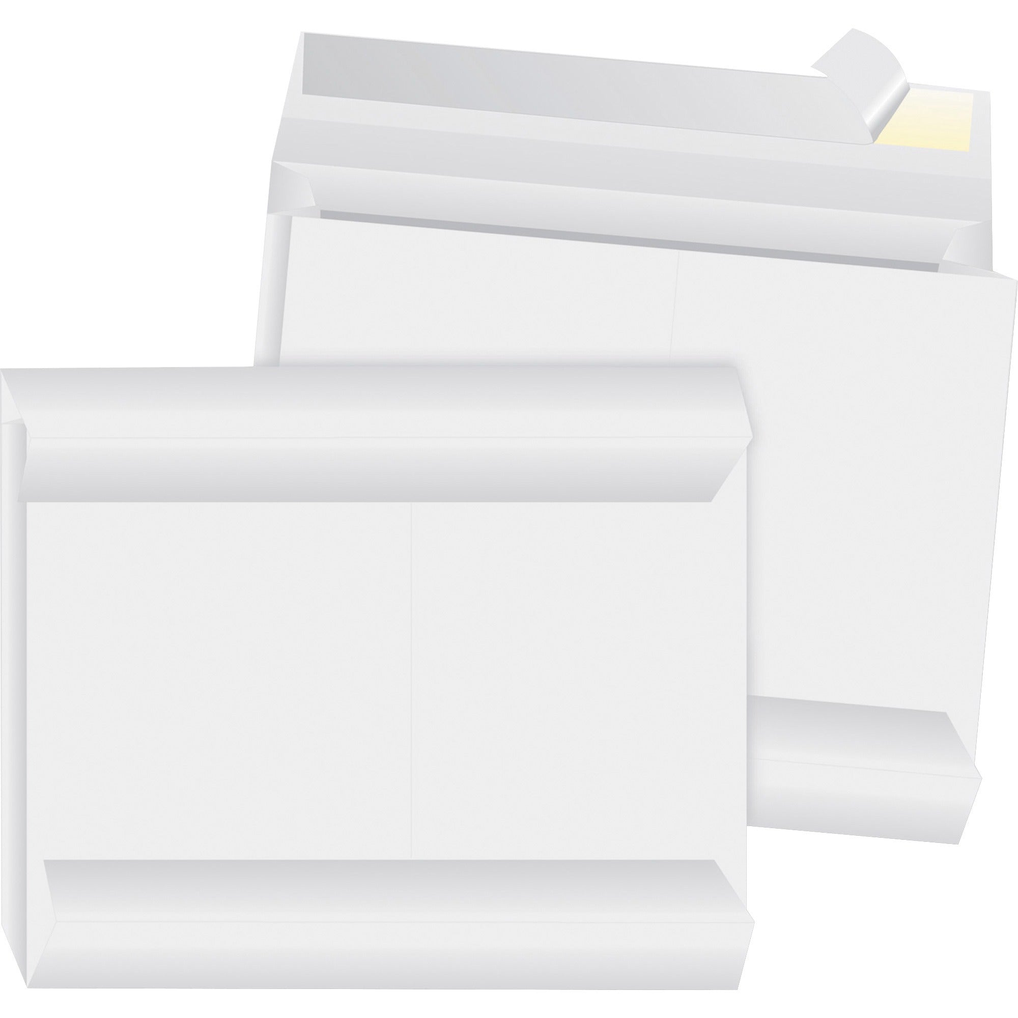 Image of BSN65804