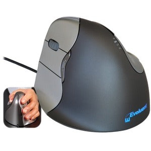 Image of ELUVM4L