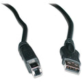 Image of EXM57545