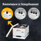 Alternate Image11