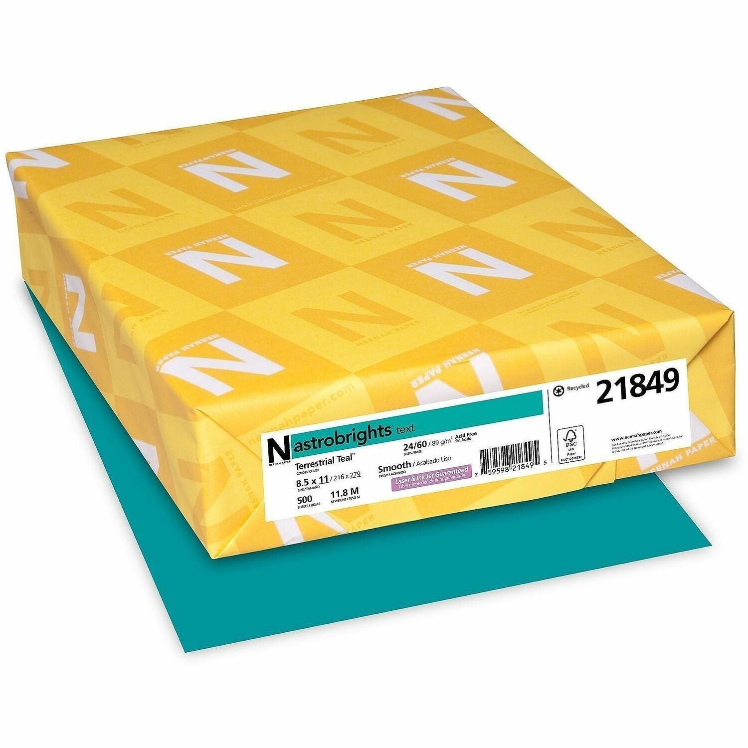 Image of NEE21849