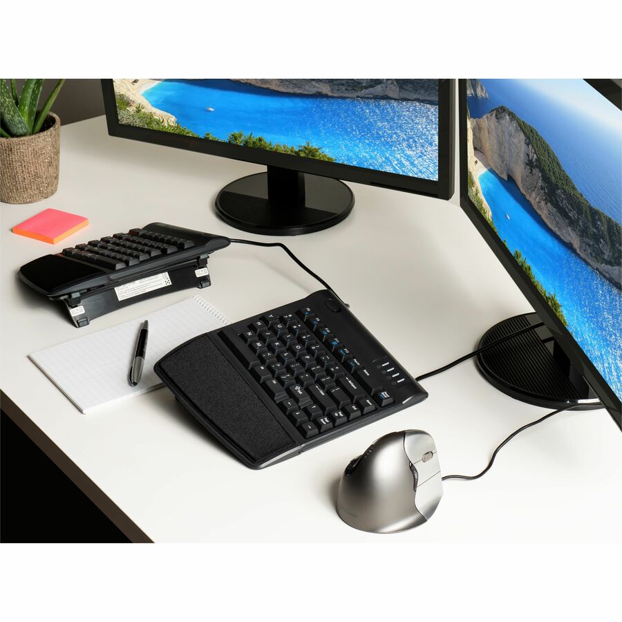 Alternate Image3