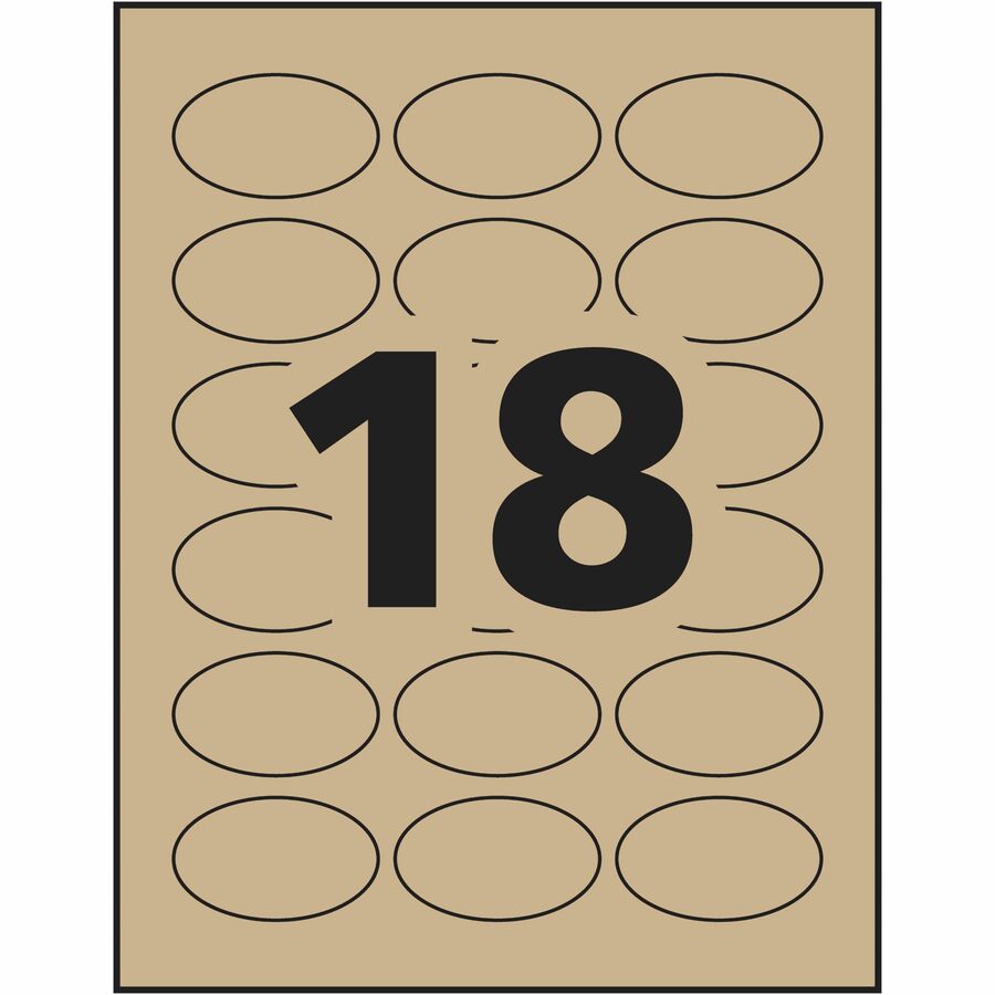 Alternate Image8