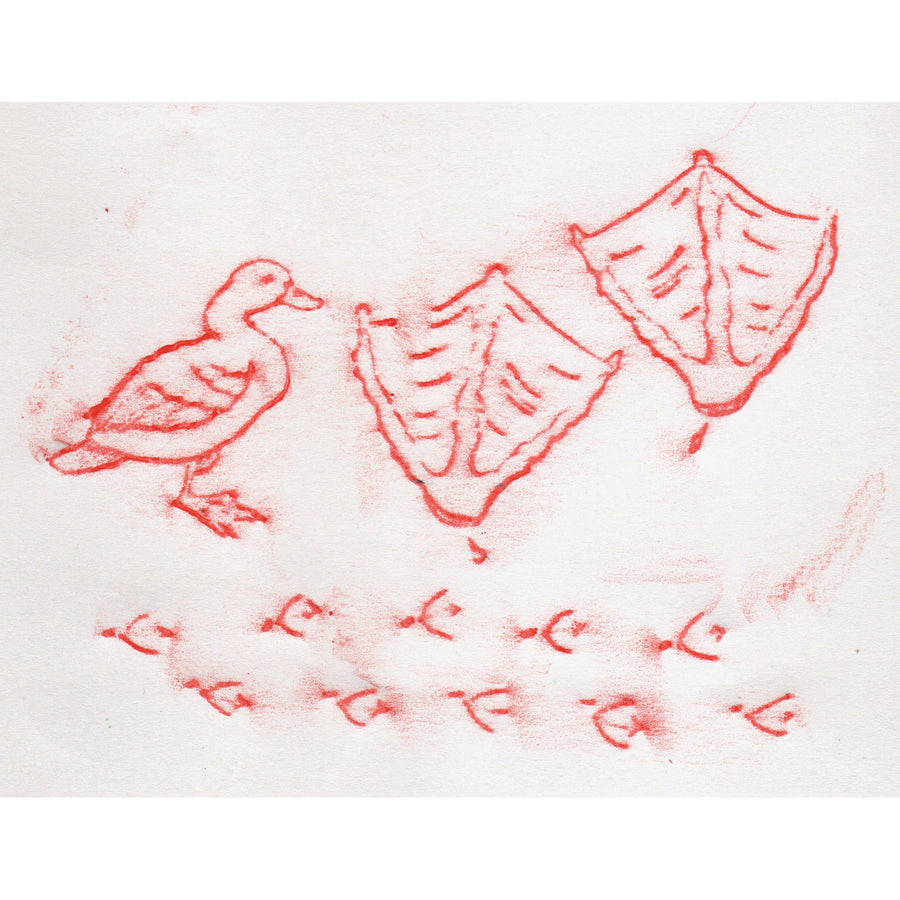 Alternate Image2