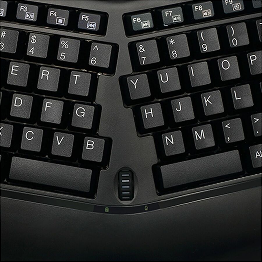 Alternate Image7