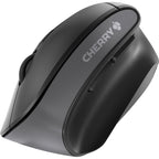 Image of CHYJW4500
