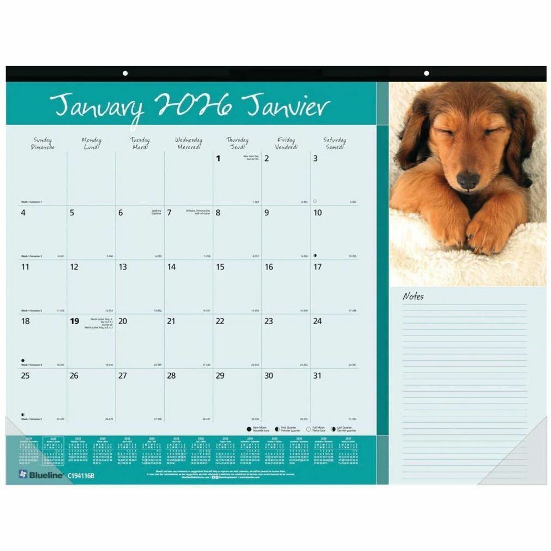 Image of BLIC194116B