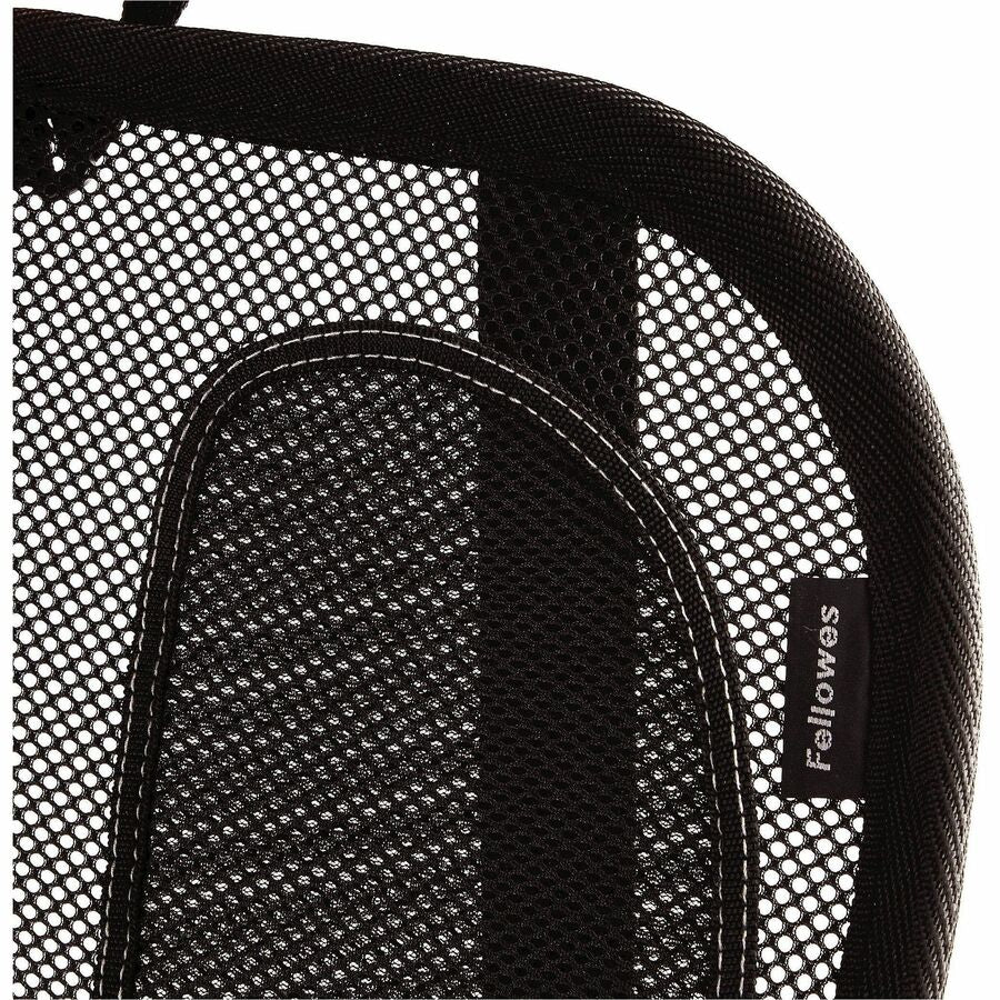 Alternate Image7