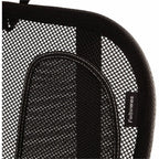 Alternate Image7
