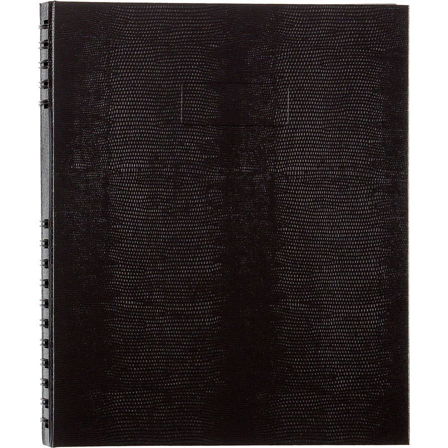 Alternate Image1
