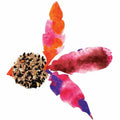 Image of RYLR24916