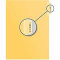 Image of QIN575613