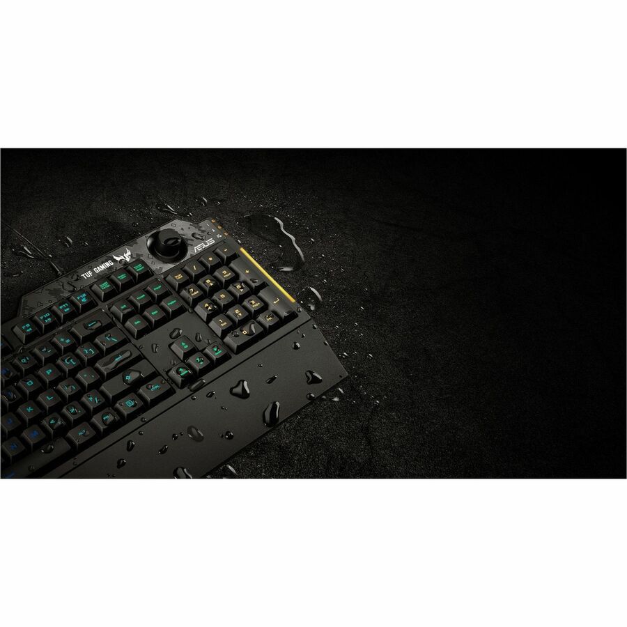 Alternate Image4