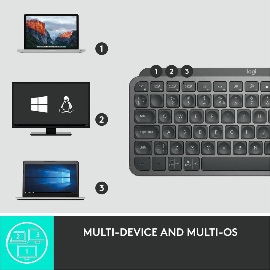 Alternate Image2