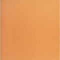 Image of NPPC0248-102
