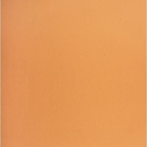 Image of NPPC0248-102