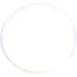 Alternate Image2