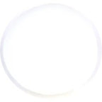 Alternate Image2