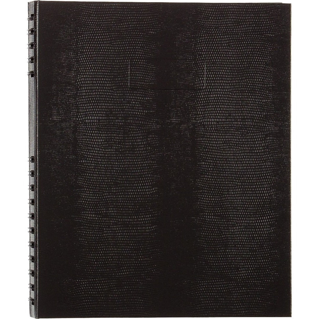 Image of BLIA10150-BLU