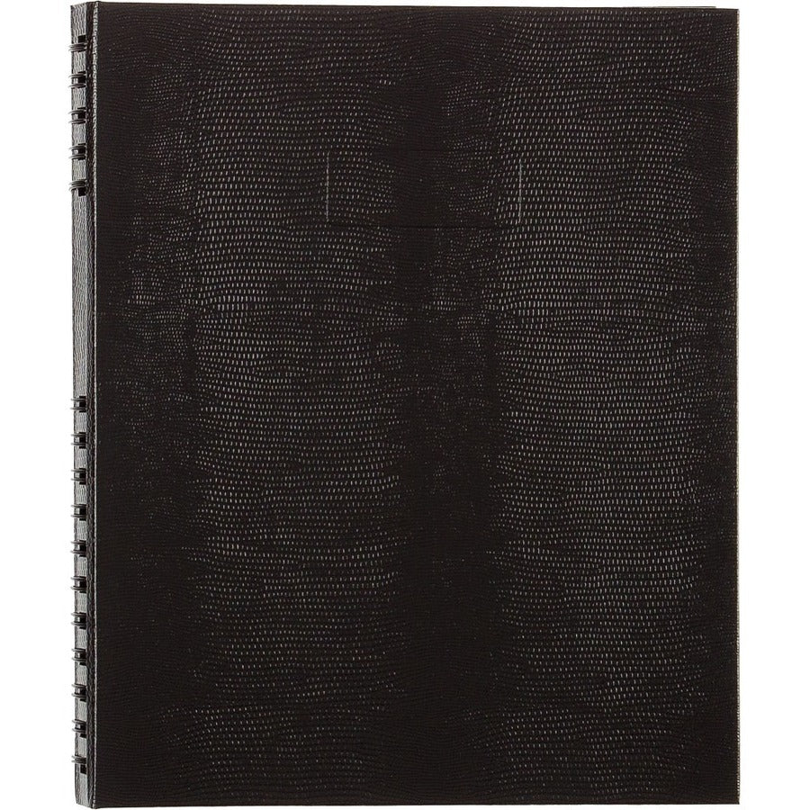 Alternate Image1