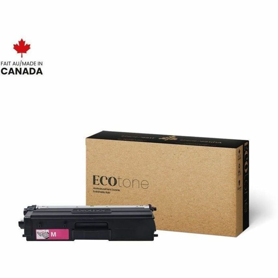 Image of DNSRBRTN436M