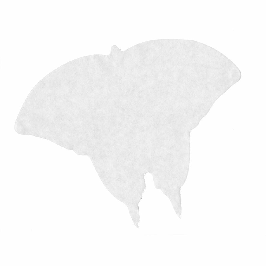 Alternate Image2