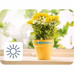 Alternate Image10