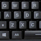 Alternate Image4