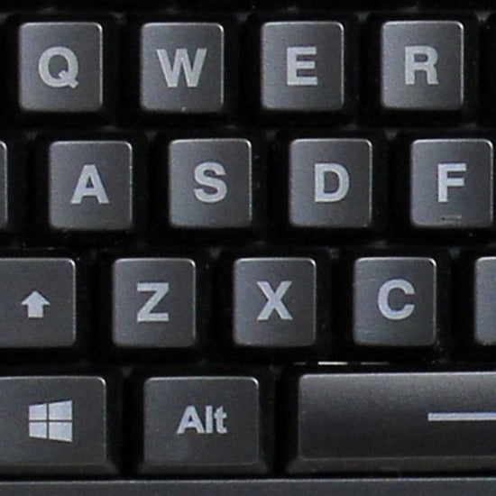Alternate Image4
