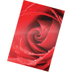 Alternate Image2