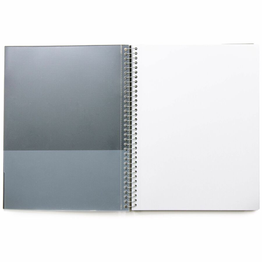 Alternate Image1