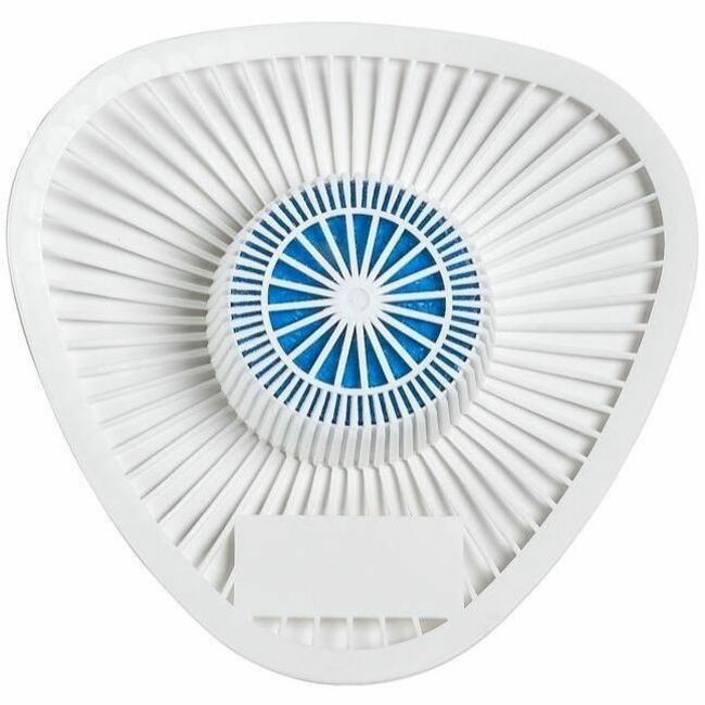 Image of MTPWAUS19