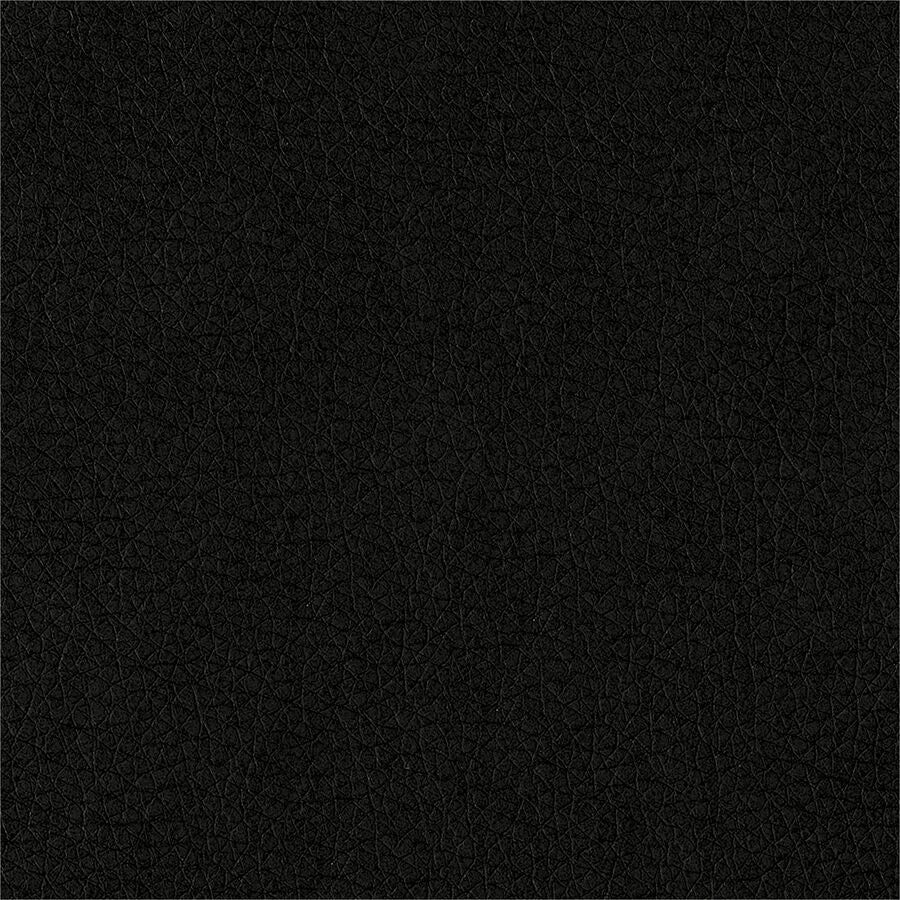 Alternate Image1