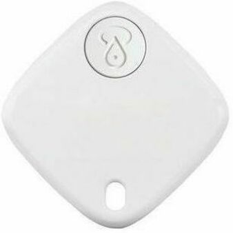 Alternate Image2