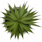Alternate Image2